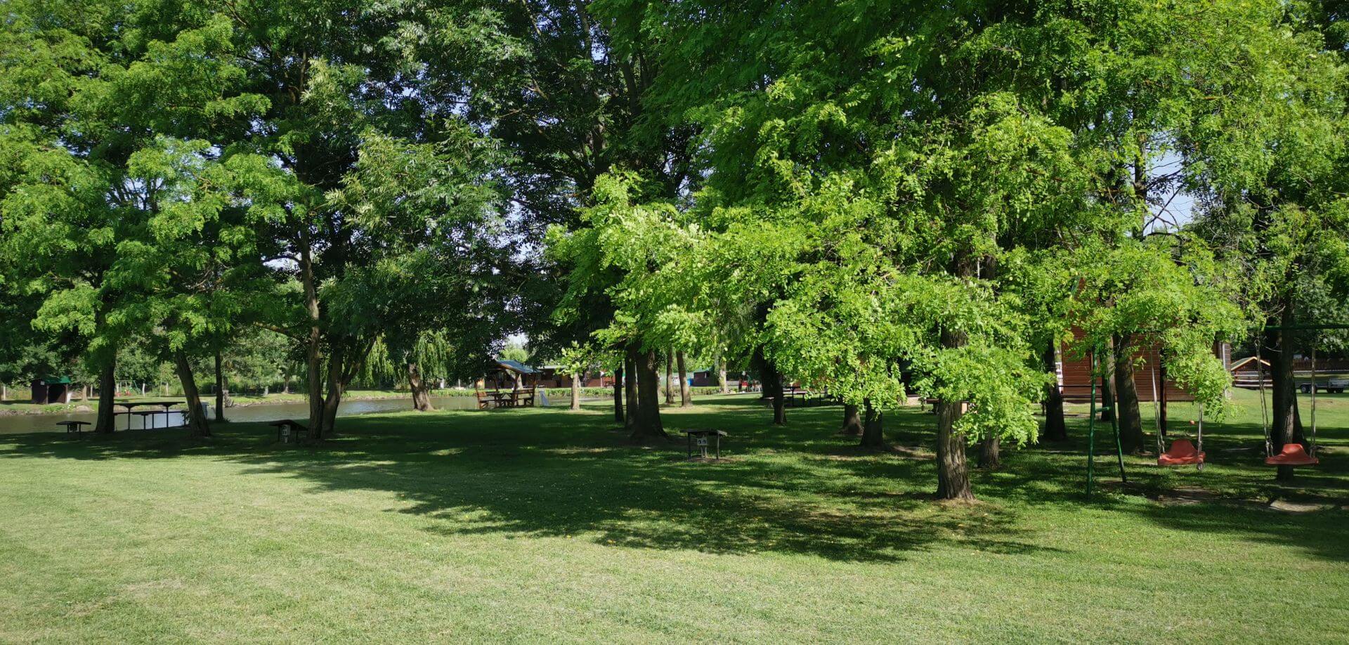 A horgásztó